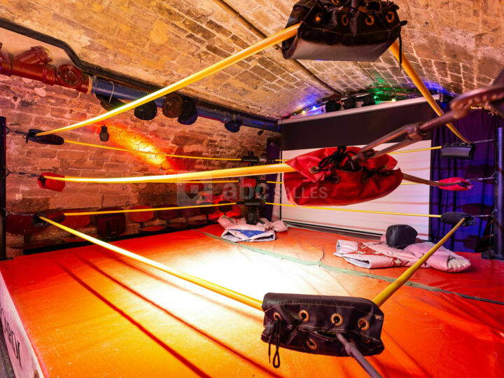 Sous Sol Avec le Ring