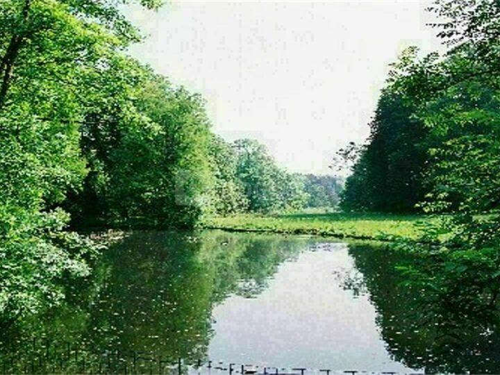 Parc (Uniquement Été)