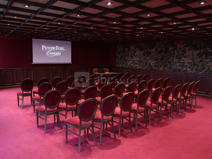 Salle françois 1e