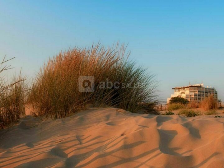 Hôtel Mercure Thalassa Port Camargue
