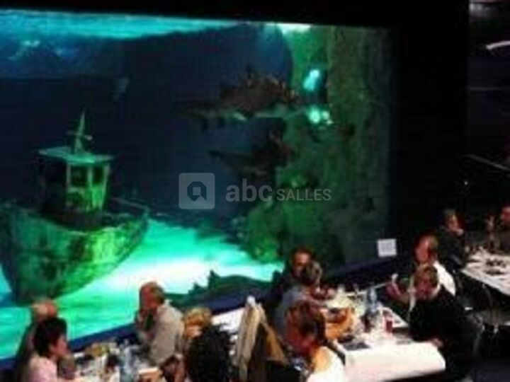 Espace Requins d'Australie
