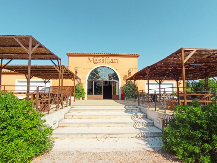 Domaine Massillan