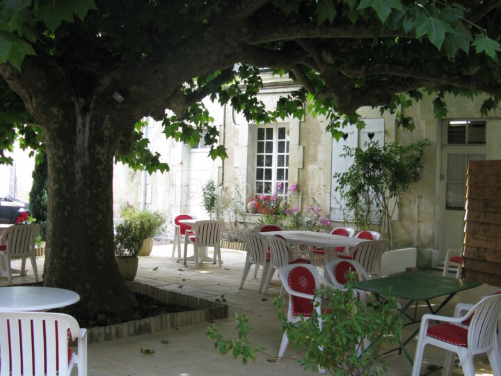 Salon Privatisable + Salle de Réception + Terrasse Intérieure