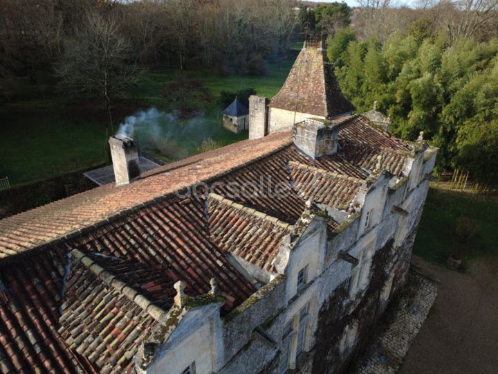 Château de Maumont