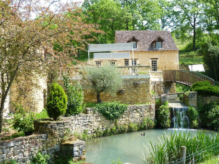 Le Moulin de Surier