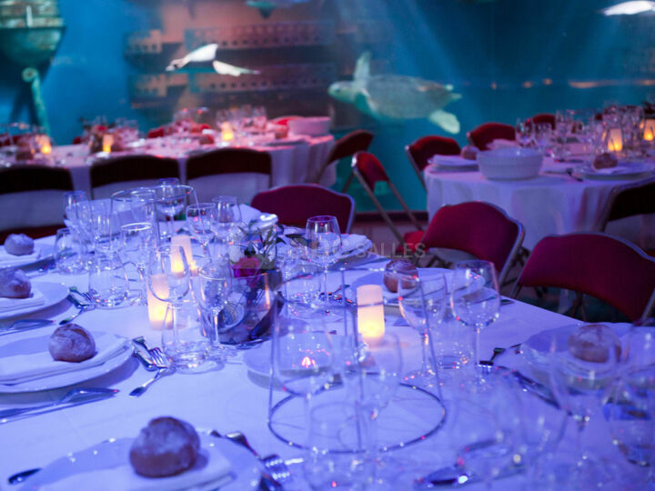 Salle