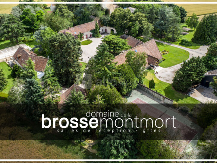 Domaine de la Brosse Montmort
