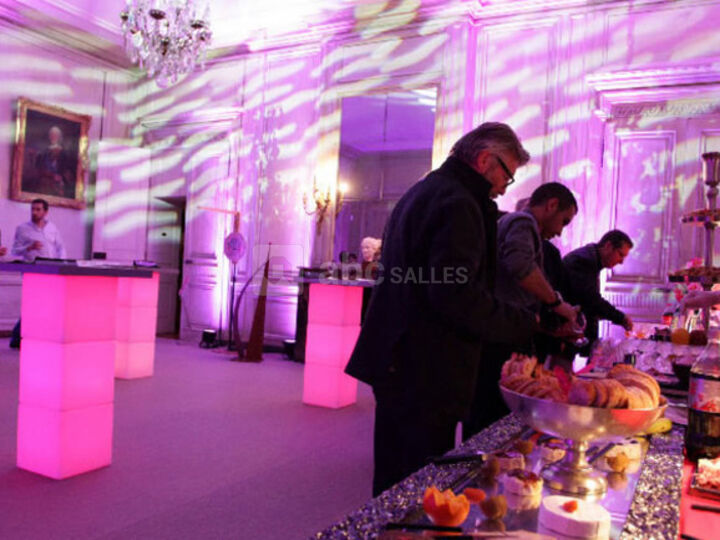 Salle de Compagnie (rez de parc)