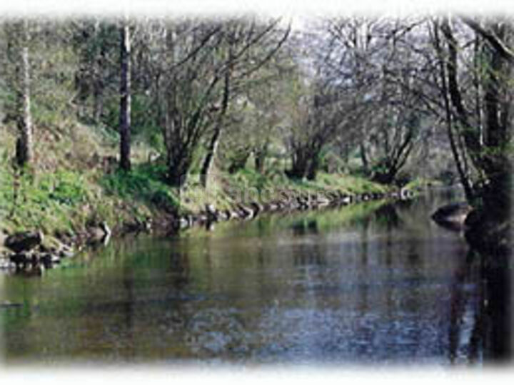 Parc