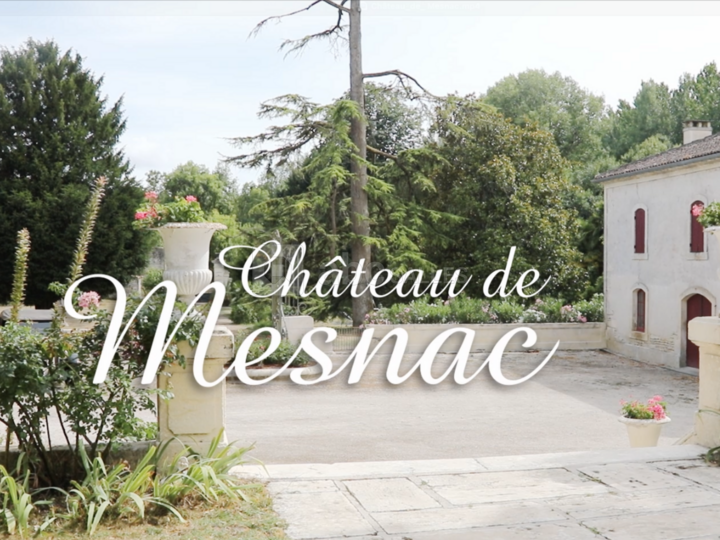 Château de Mesnac