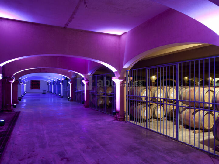 La Galerie du Chai Rouge