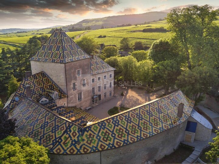 Château de Santenay