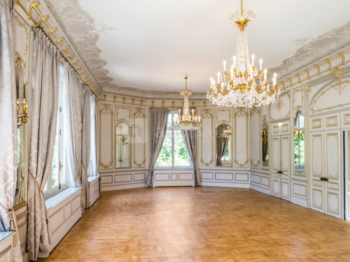 Louis XV