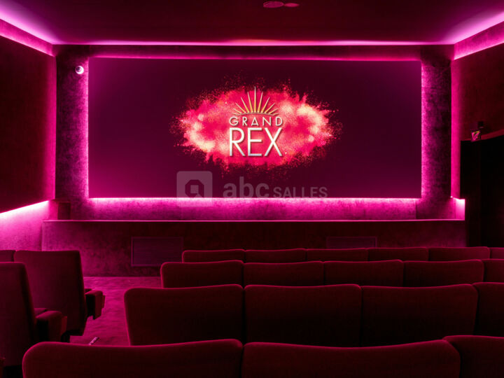 Rex 6