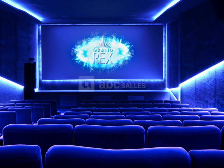Rex 7