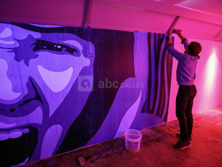 Voiture Exposition 2