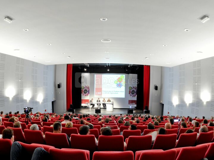 Amphithéâtre