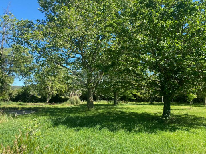 Parc Arboré