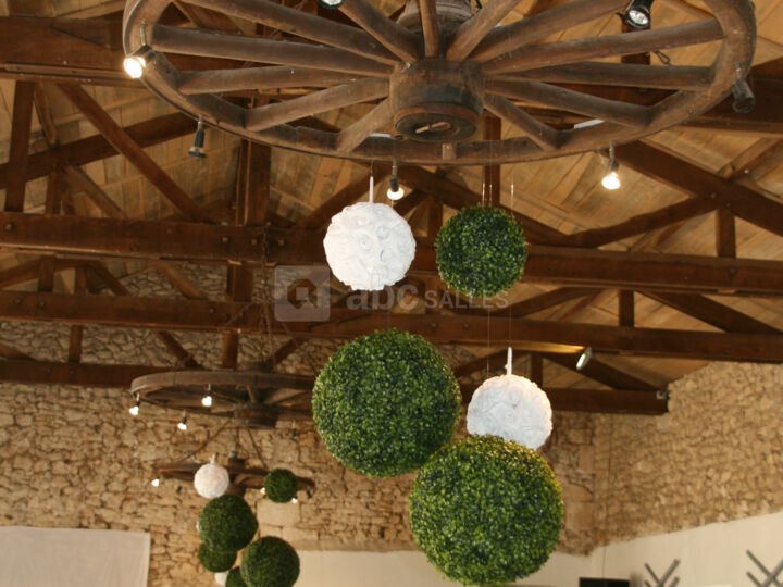 Salle de Réception 1