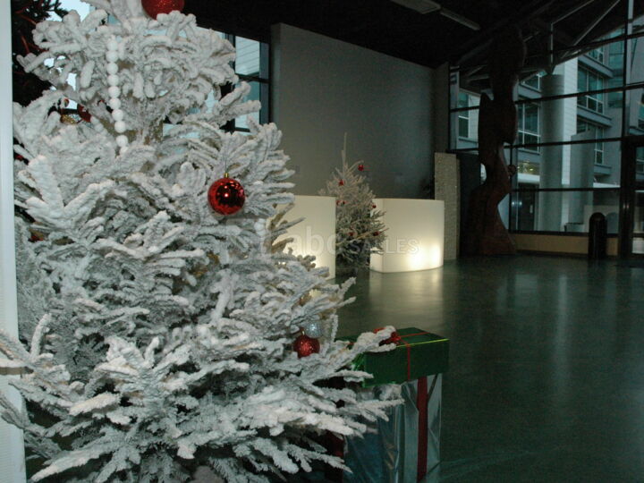 Hall Espace Yolaine de Kepper