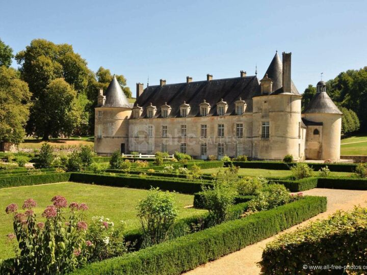 Cour