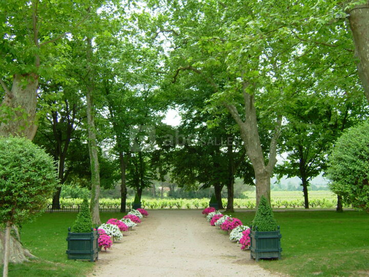 Parc de 4 Hectares