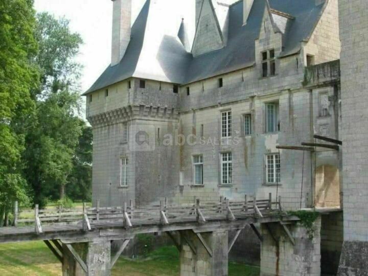 Château de l'Isle Savary