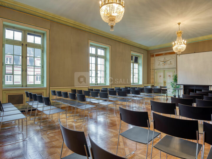 Salon David-Weill