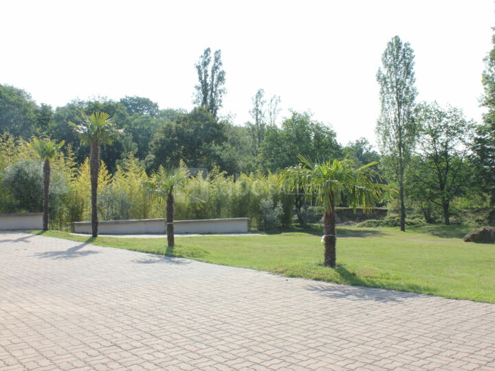 Espace la Renarde - Terrasse