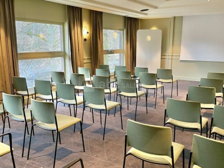 Salon Manet