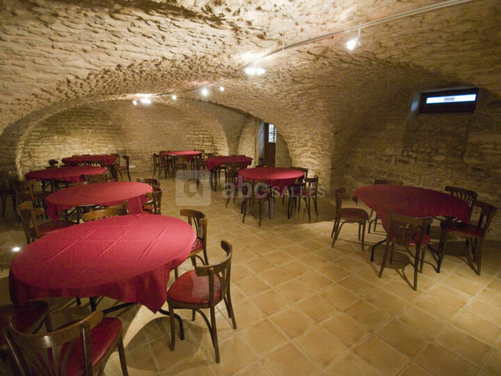 Salle Dégustation : Cave Voutée