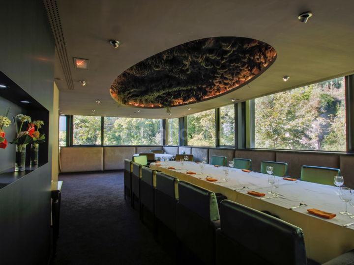 Salon Coupole