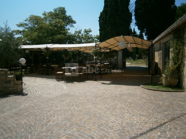 Cour