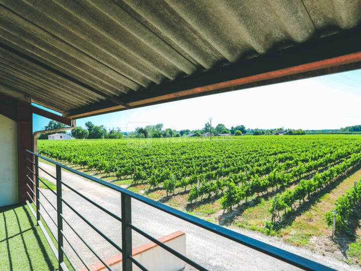 La Salle des Vignes