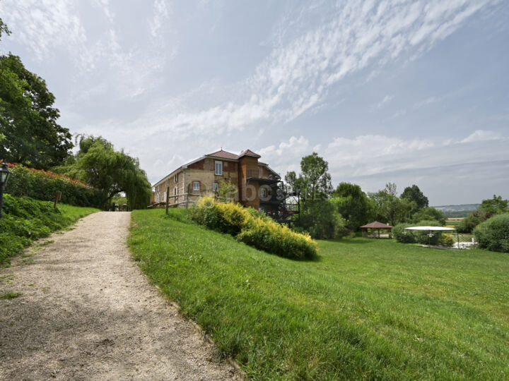 Domaine du Moulin Piongo