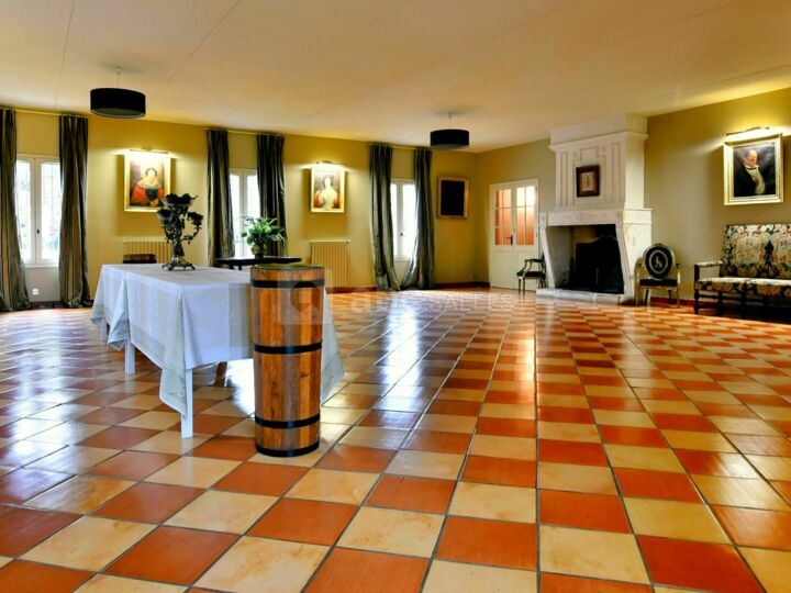 Salon des Irlandais