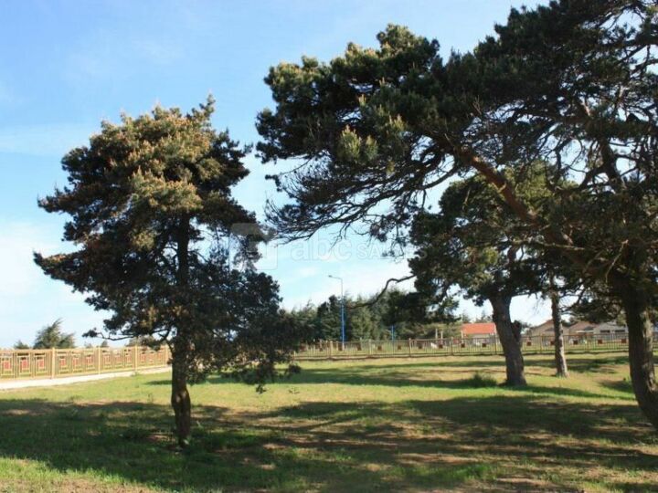 Parc