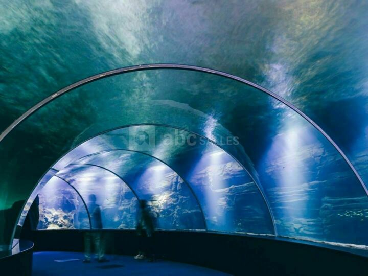Le Tunnel haute mer