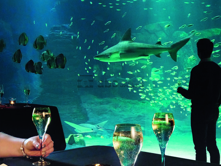 Salle de la grande baie