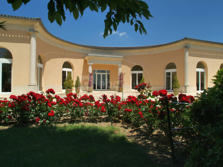 Vignobles Chatonnet Château Haut-Chaigneau