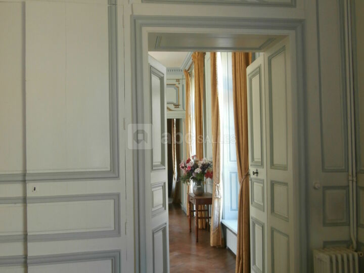 Salons du château