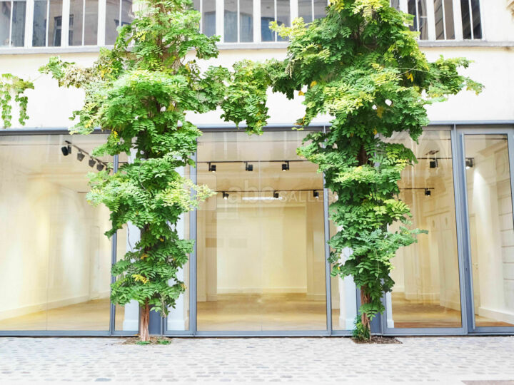 Galerie Joseph Braque