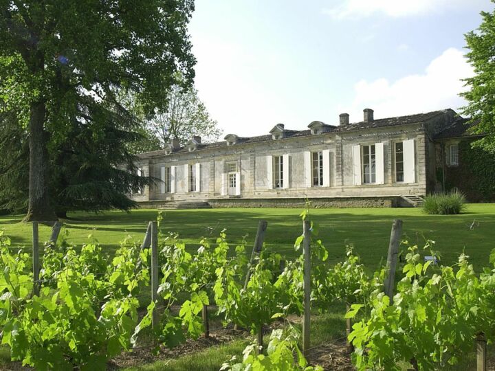 Château Fombrauge