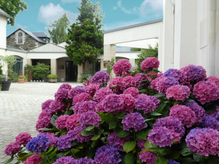 Les Salons des Floralies