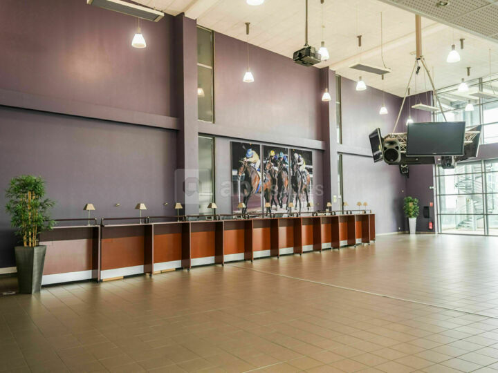 Salle des Parieurs