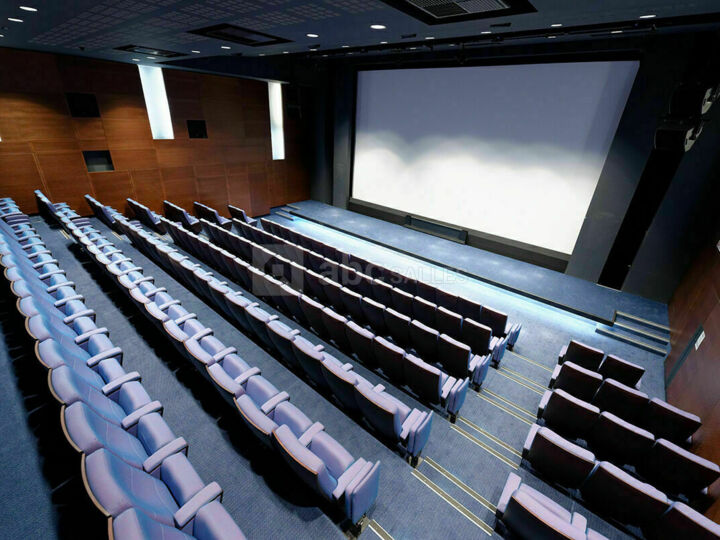 Salle Georges Franju