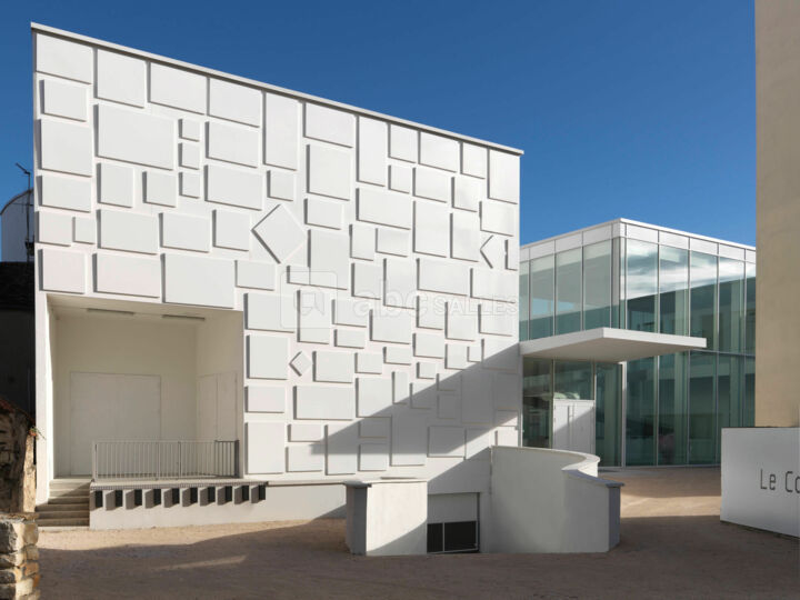 Le Consortium Museum