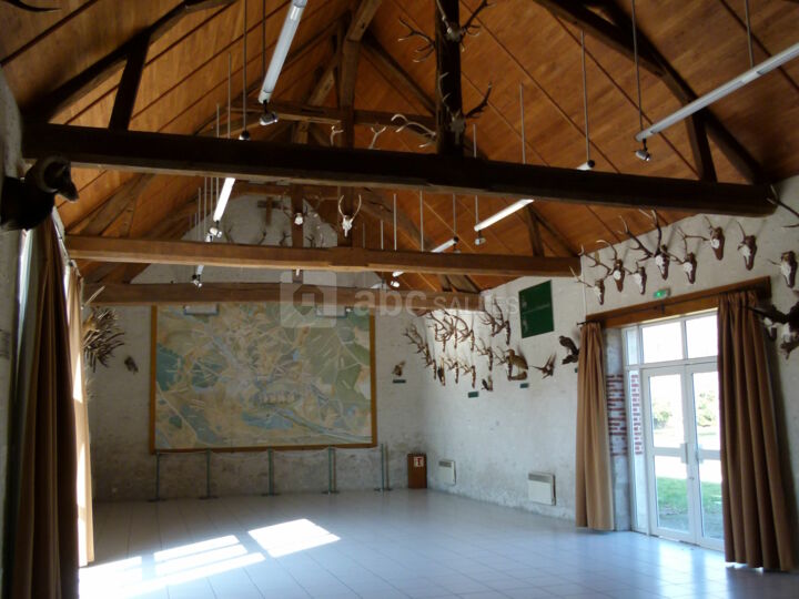Salle