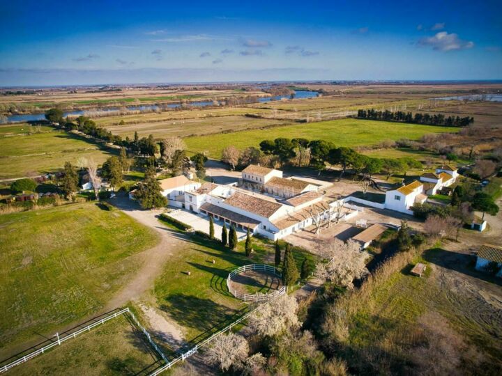 Domaine Le Sauvage