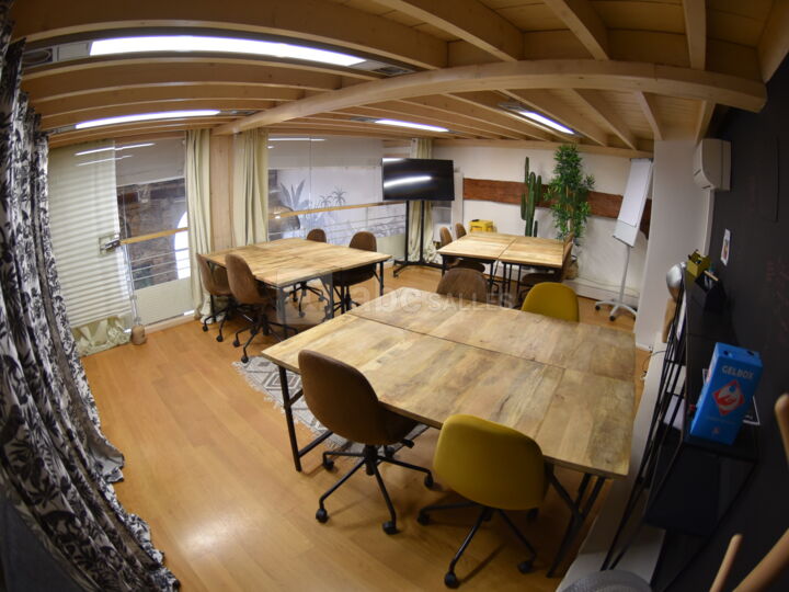 Salle "JUNGLE"